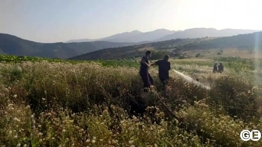 Elektrik Hatlarından Çıkan Ot Yangını Büyümeden Söndürüldü