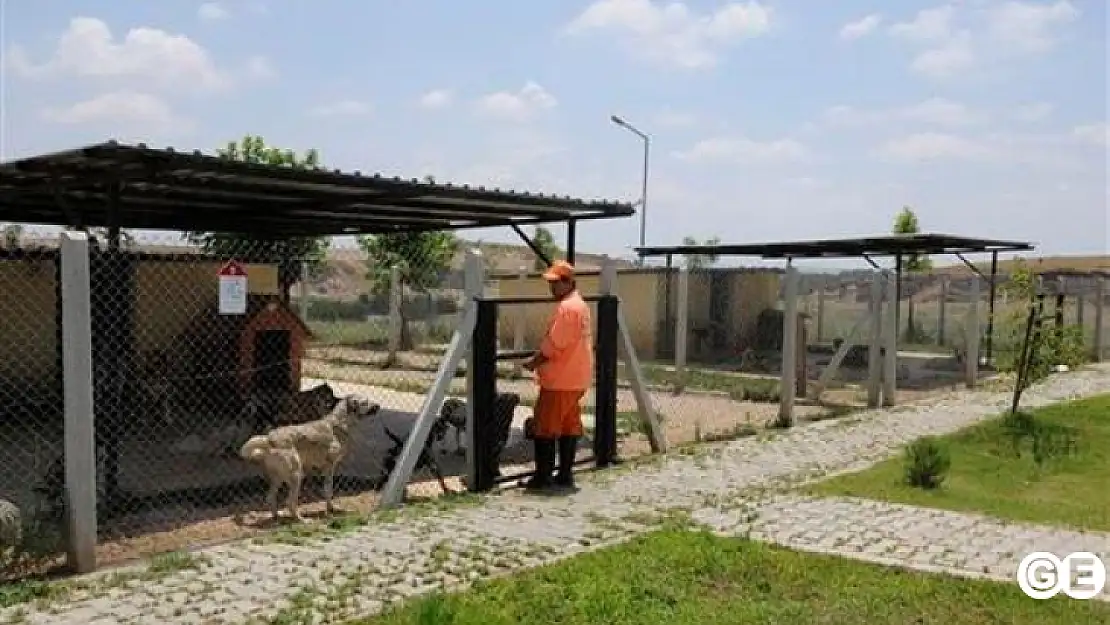 Emet Belediyesi Geçici Hayvan Barınağı Çalışmaları Sürüyor