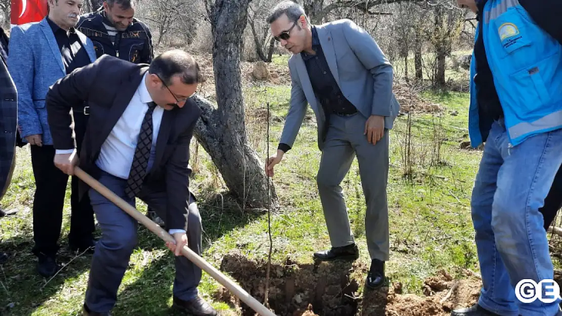 Emet Küreci Elmasını Geliştirme Adına  Yeni Fidanlar Toprakla Buluştu