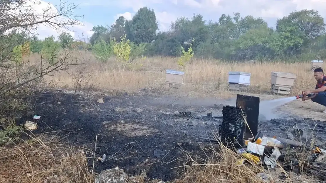 Emet'te Arazi Yangını: 7 Arı Kovanı Kül Oldu