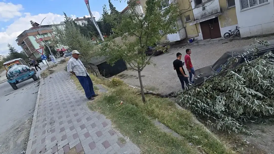 Emet'te Kaza 2 Çocuğuyla İğde Ağacına Çarptı