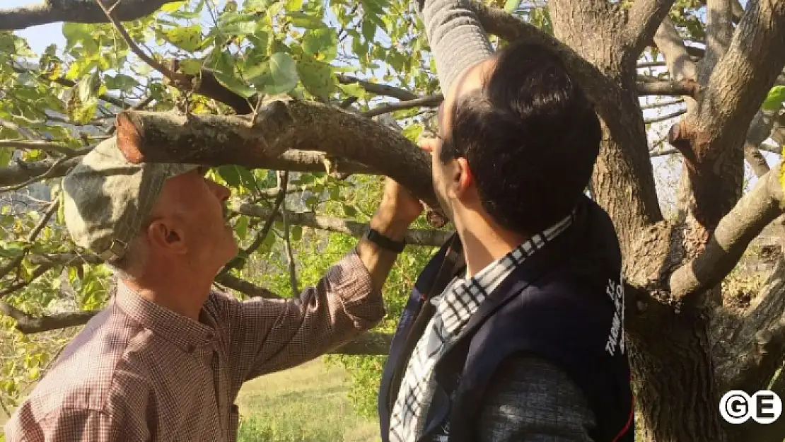 Emet'te 'Meyve Ağaçlarında Bitki Sağlığı' konulu eğitim verildi