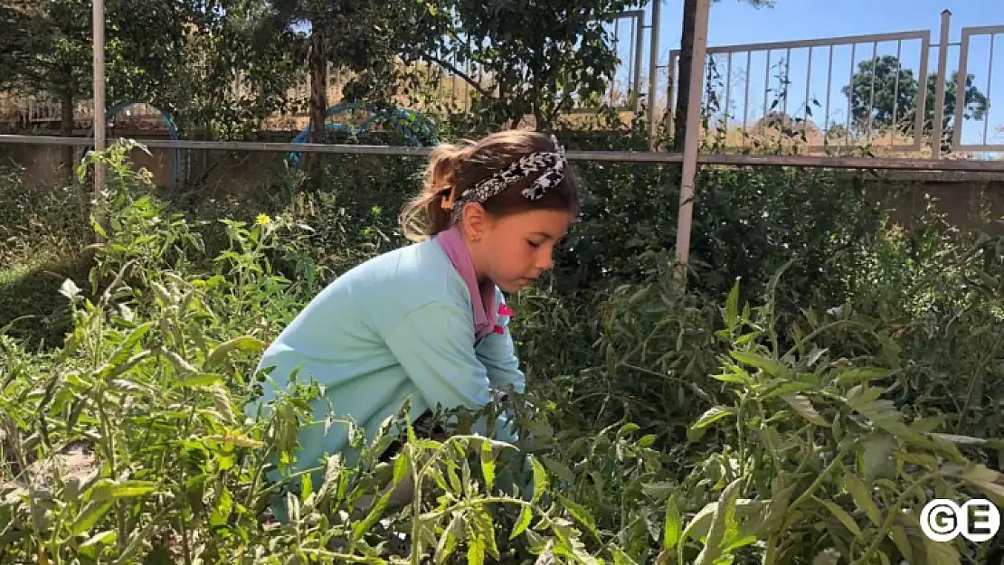 Gazi Emet İlkokulu Tabiat Atölyesi Üretime Devam Ediyor