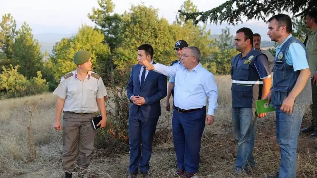 VALİ NAYİR EMET YANGIN BÖLGESİNDE