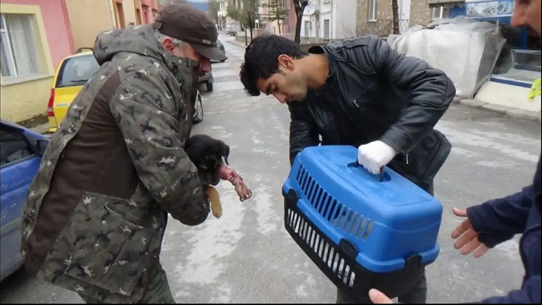 YARALI KÖPEK İÇİN SEFERBER OLDULAR