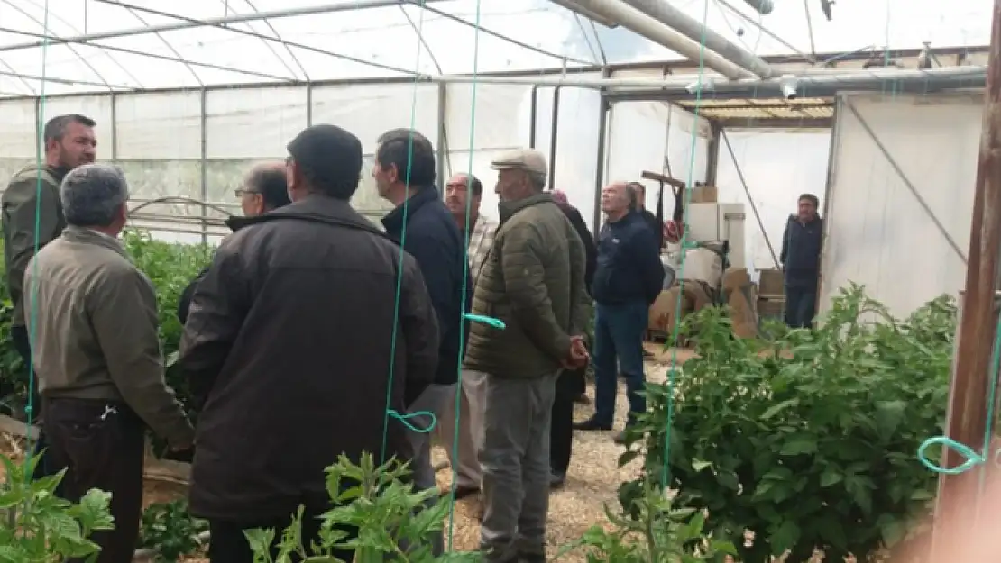 SERA KURSİYERLERİ SİMAV SERALARINDA
