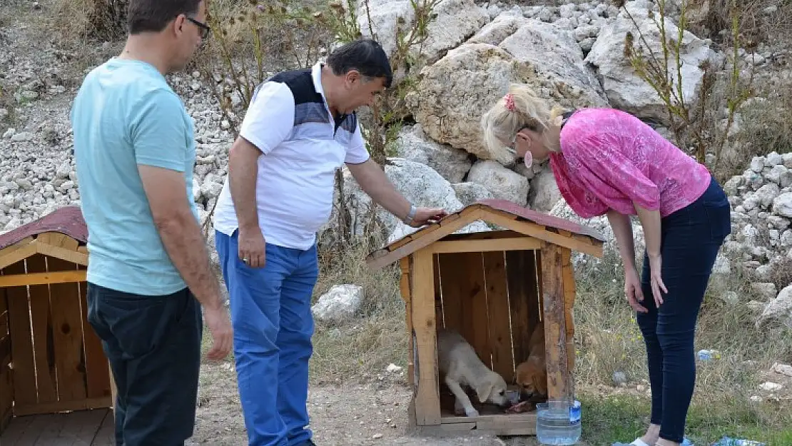 BAŞKAN KOCA'HER CANLININ YAŞAM HAKKI VARDIR'