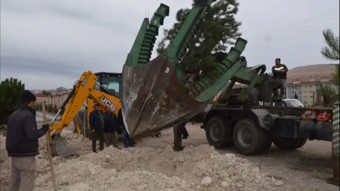 BETON İNŞAATLAR ARASINDA KALAN AĞAÇLAR  BELEDİYECE KURTARILDI