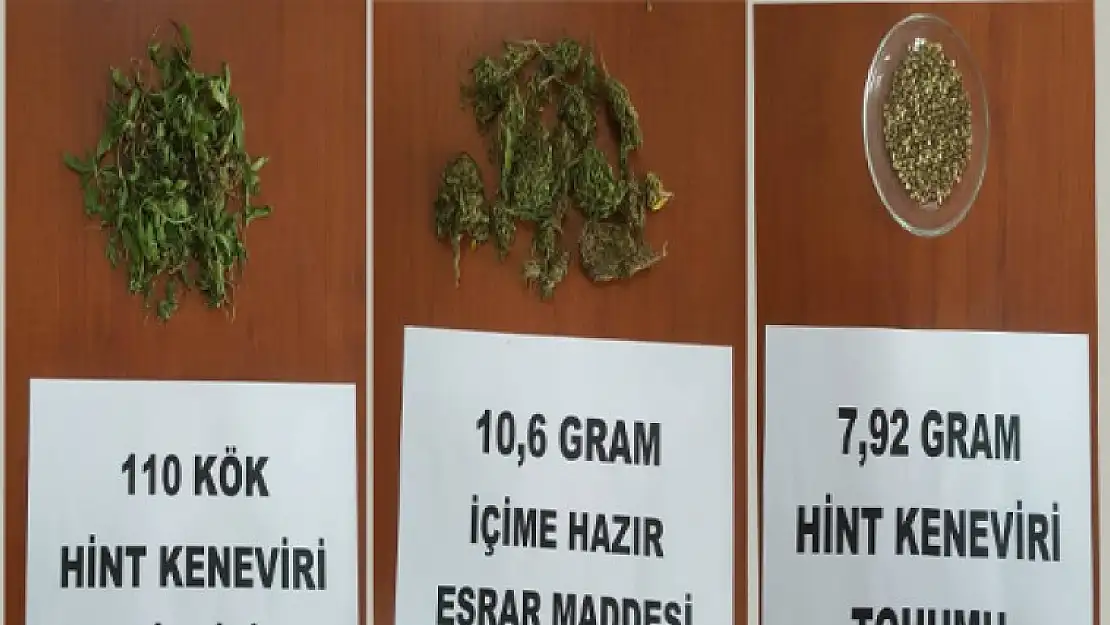 EMET JANDARMADAN UYUŞTURUCU OPERASYONU