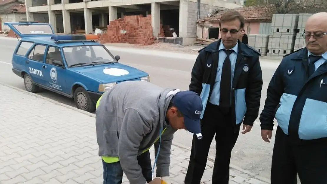 ZABITADAN YARALI KÖPEK OPERASYONU