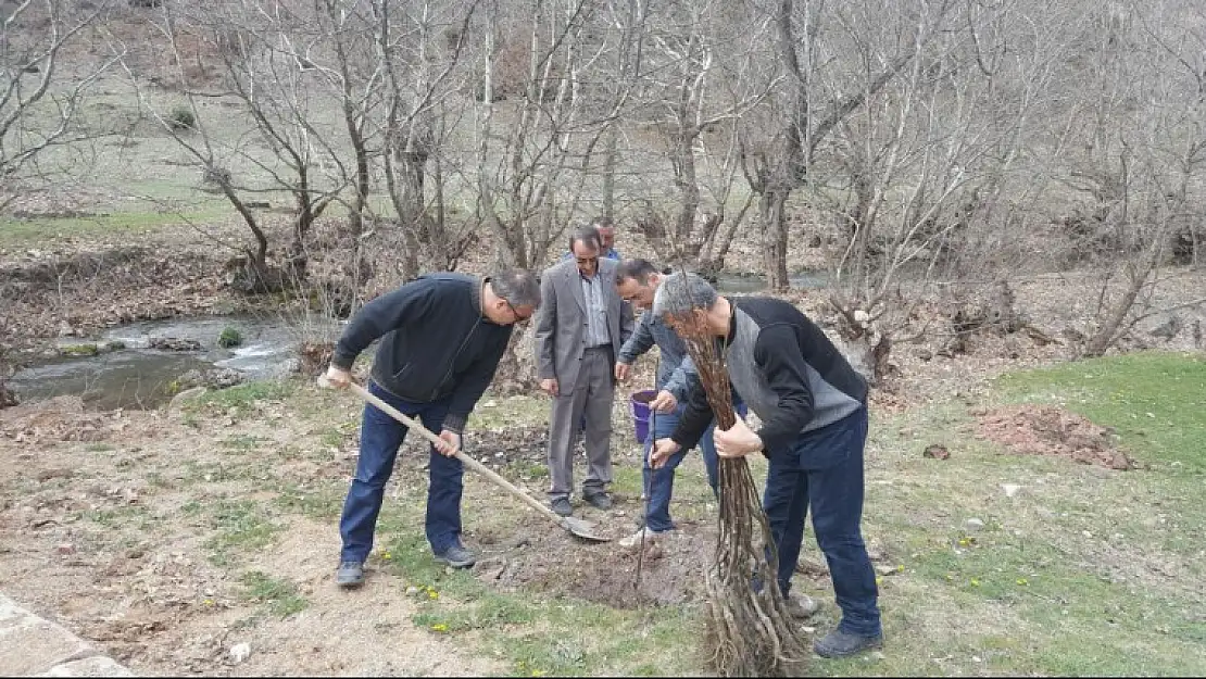 EMET KAYMAKAMLIĞINDAN ÖRNEK PROJE