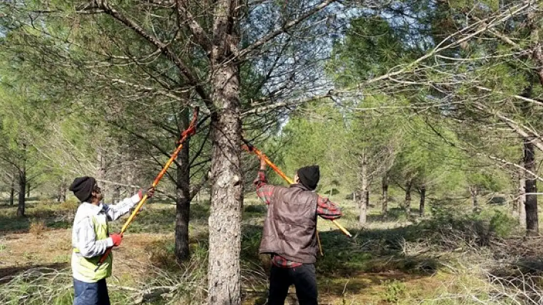 EMET'TE 50 HEKTAR ALANDA BUDAMA ÇALIŞMALARI
