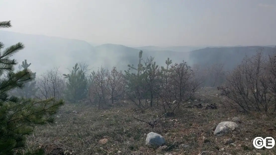 Günlücede Orman  Yangınında 2 Hektar Alan Zarar Gördü