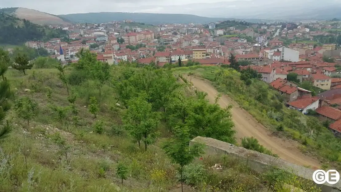 Kocakıran 20 Bin Fidan Daha Bekliyor