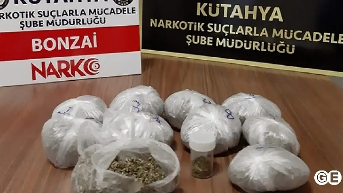 Kütahyada 10 Paket Bonzai Ele Geçirildi