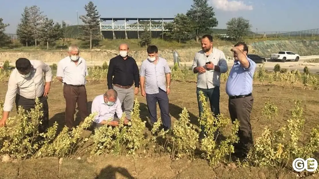 Milletvekili Tan Emet Kavşağı Peyzaj Çalışmalarını İnceledi