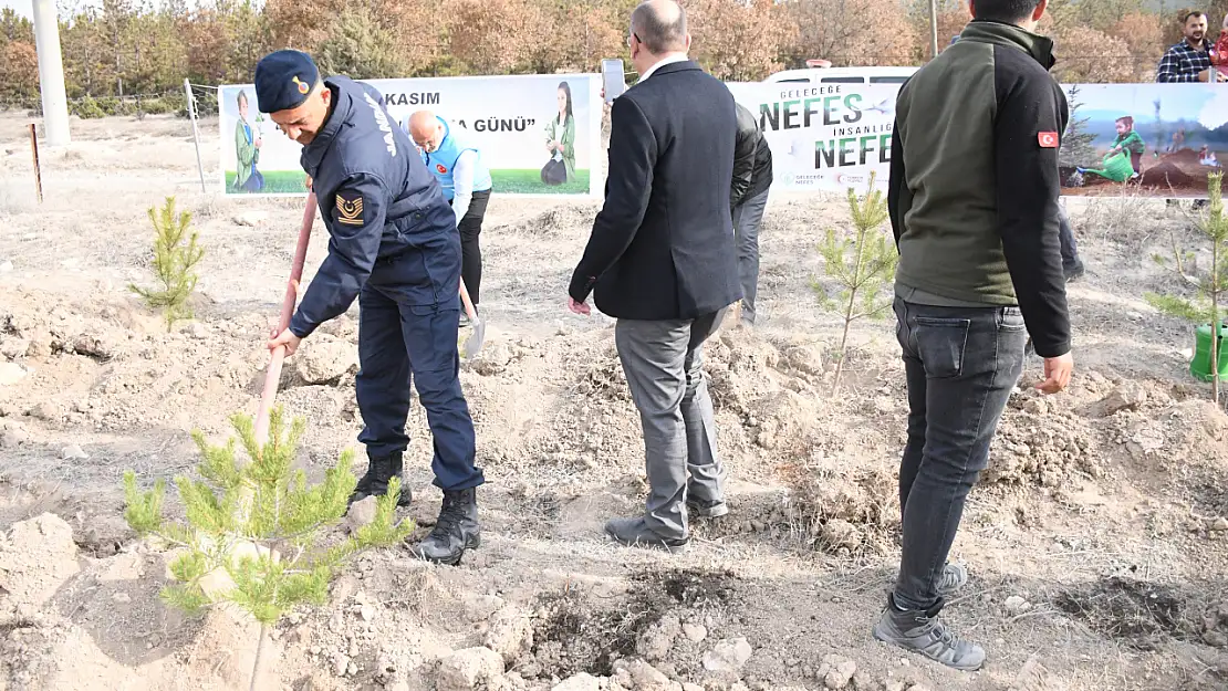 Milli Ağaçlandırma Günü'nde Emet'te 300 Fidan Toprakla Buluştu