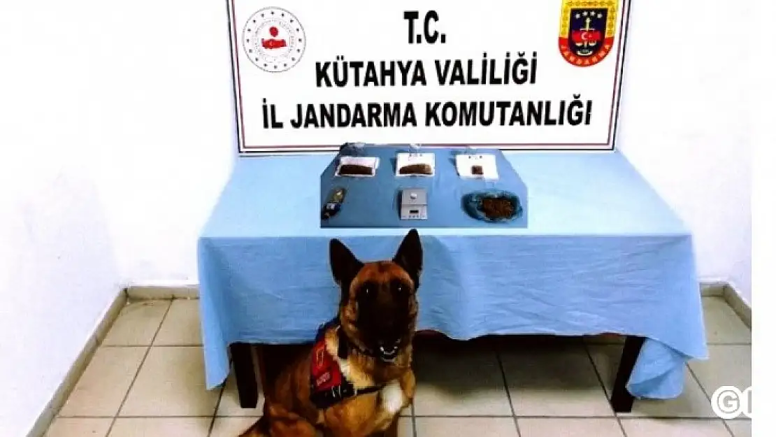 Narkotik Köpeği  Uyuşturucuya Geçit Vermedi