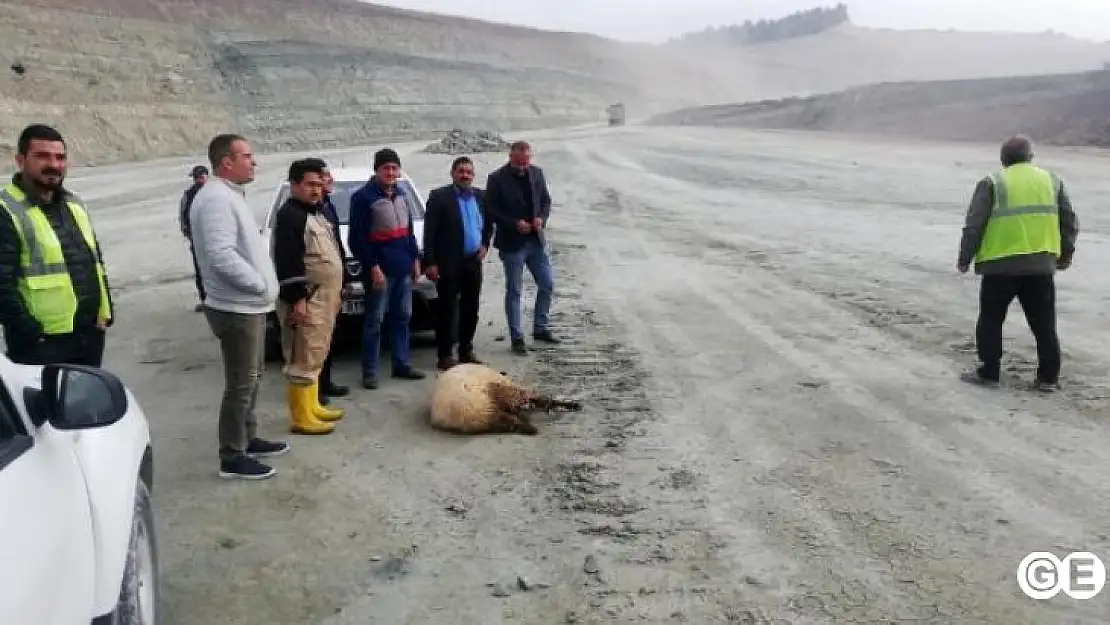 Ölümlü kazanın yaşandığı iş yerinde kurban kesildi