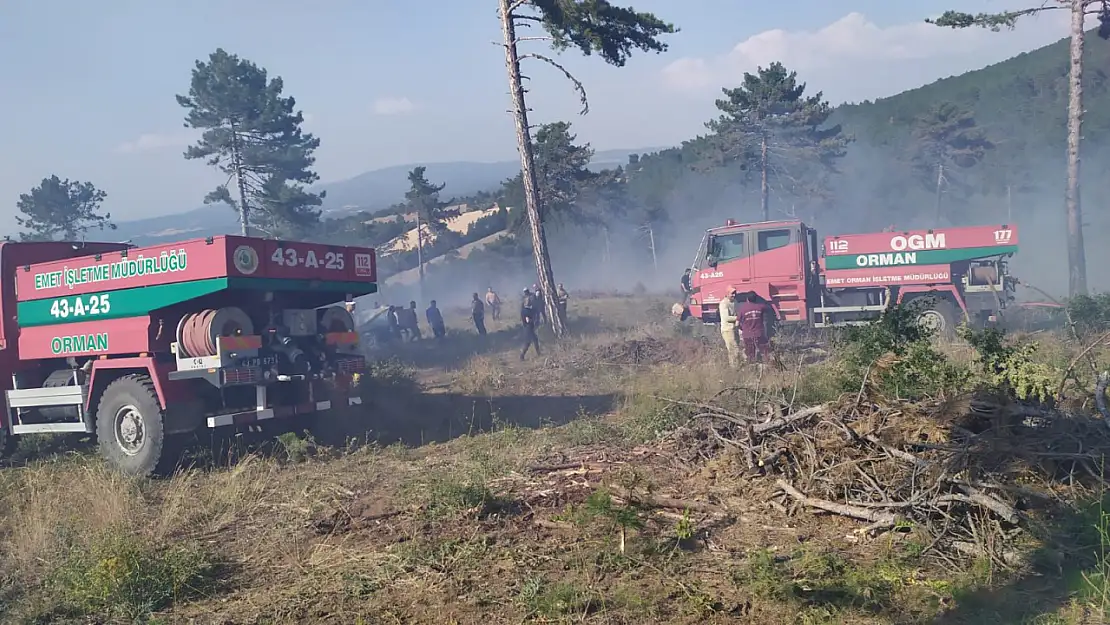 Orman Yangını Bölgeyi Ayağa kaldırdı