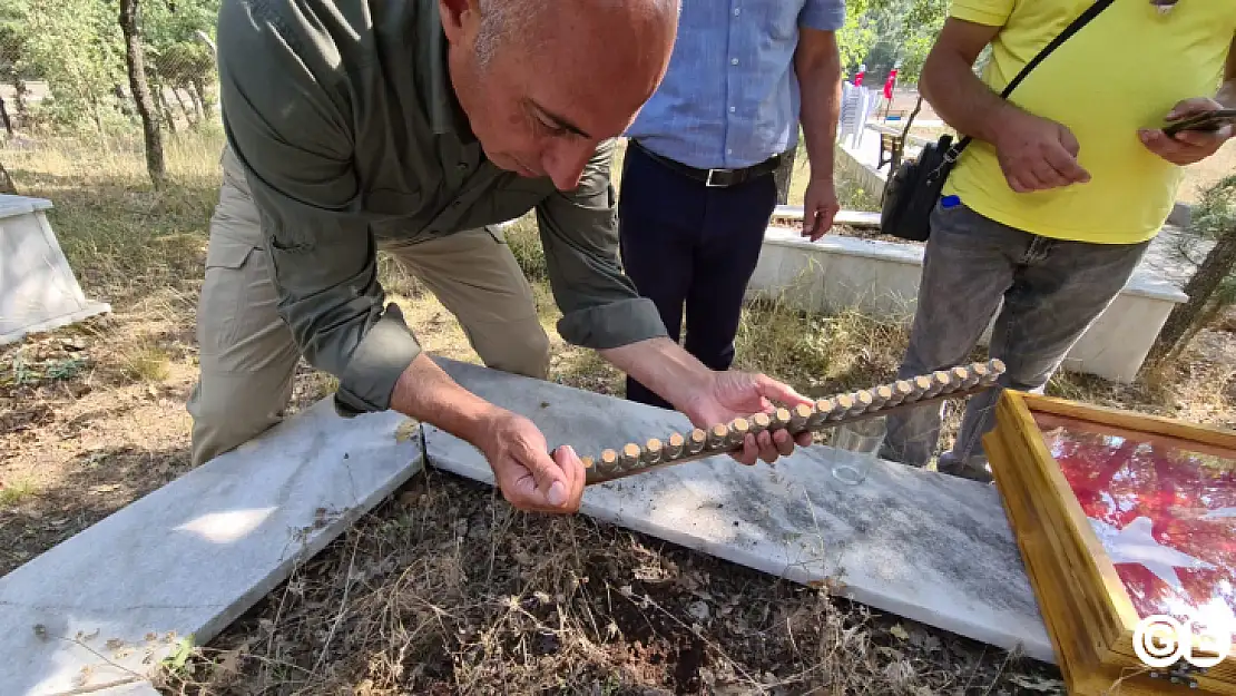 Sakarya Şehitliği Toprağı Cevizderede,Cevizdere Toprağı İstiklal Bayrağı Tırında Türkiye Turunda