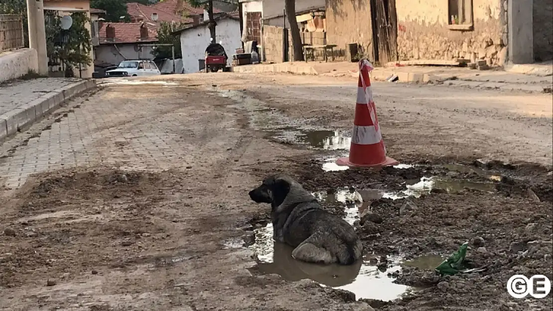 Su Patlakları En Çok Onların İşine Yarıyor