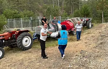 'Yeşili Korumak Vatanı Korumaktır'