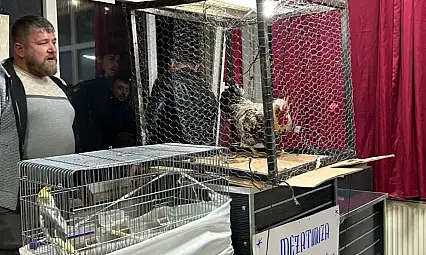 Bu Mezat Başka Mezat!