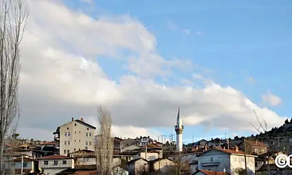 Esatlarda Büyük Baş Hayvanlarda Şap Görüldü