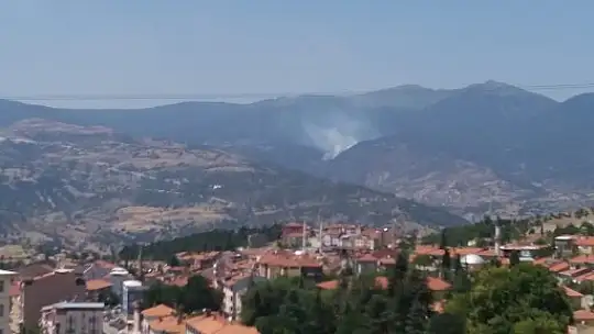 Emet'te Orman Yangını