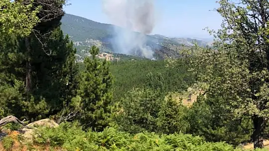 Emet'te Orman Yangını