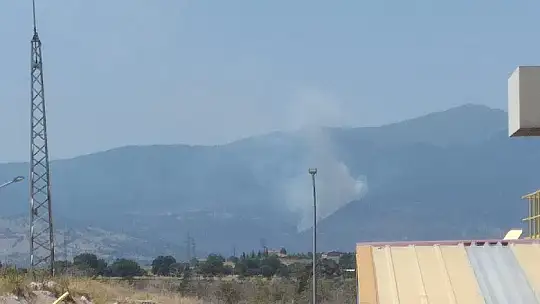 Emet'te Orman Yangını