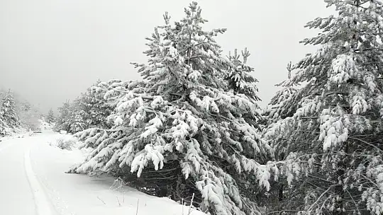 Emet Eğrigöz Dağı'nda kar kalınlığı 25 santimetreyi geçti