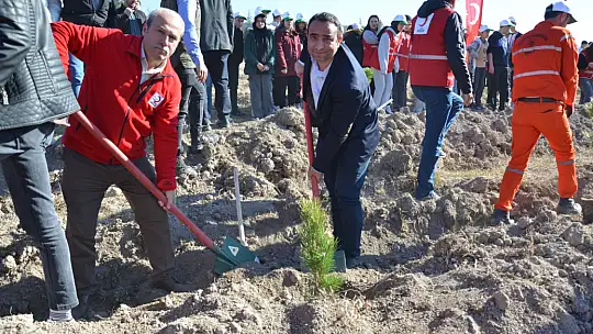 11 Kasım Fidan Dikim Gününde Emet'e 12 Bin Fidan