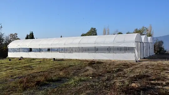 Emet Belediyesi Kendi Fidan ve Çiçeğini Üretecek
