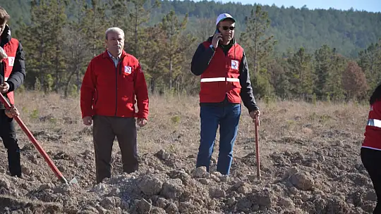 11 Kasım Fidan Dikim Gününde Emet'e 12 Bin Fidan