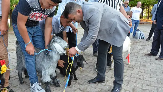 Emet'te oğlaklar podyuma çıktı