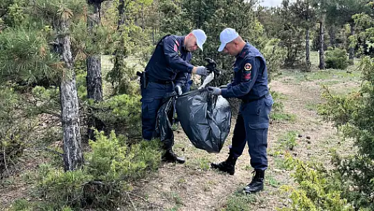 Ormanlarını Korumak Hepimizin Görevi
