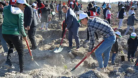 11 Kasım Fidan Dikim Gününde Emet'e 12 Bin Fidan