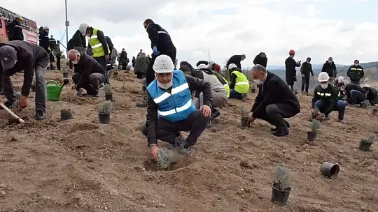 Emetbor İşletme Müdürlüğünde 6.500 Fidan Toprakla Buluşturuldu