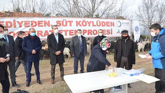 Emet Belediyesi Projesinde 350 Adet Keçi Üreticllere Teslim Edildi