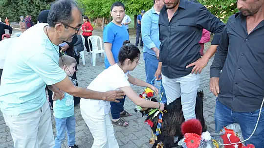 Emet'te oğlaklar podyuma çıktı