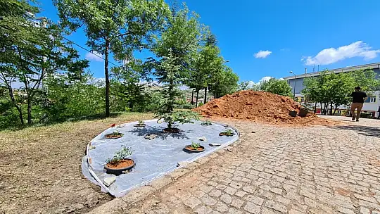 Emet Belediyesi Sosyal Tesis yapımında Yoğun Çalışma