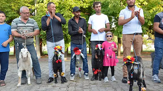 Emet'te oğlaklar podyuma çıktı