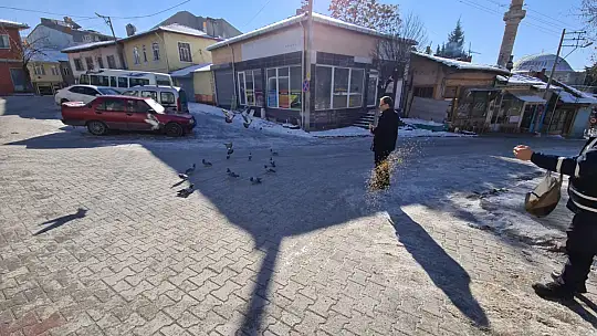 Soğuk Havalarda Kuşlar ve Sokak Dostlarımız Unutulmadı