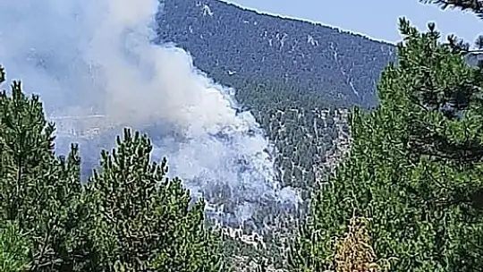 Emet'te Orman Yangını