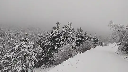 Emet Eğrigöz Dağı'nda kar kalınlığı 25 santimetreyi geçti