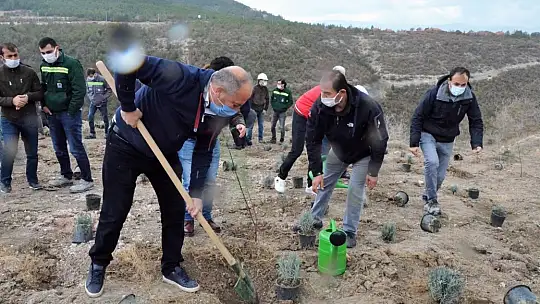 Emetbor İşletme Müdürlüğünde 6.500 Fidan Toprakla Buluşturuldu