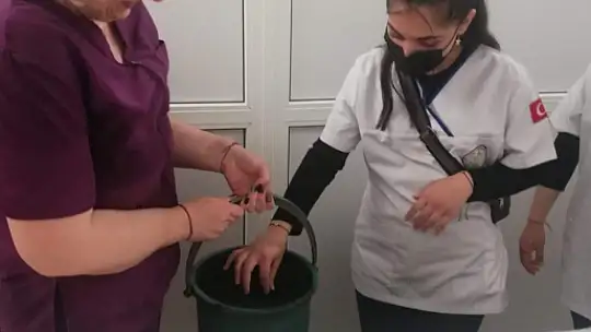 Emet'ten 30 Öğrenci Romanya'da  Fizik Tedavi Stajı Gördü