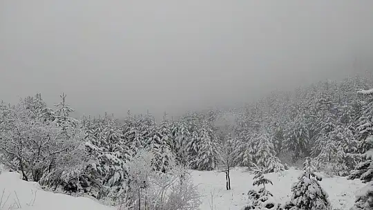 Emet Eğrigöz Dağı'nda kar kalınlığı 25 santimetreyi geçti